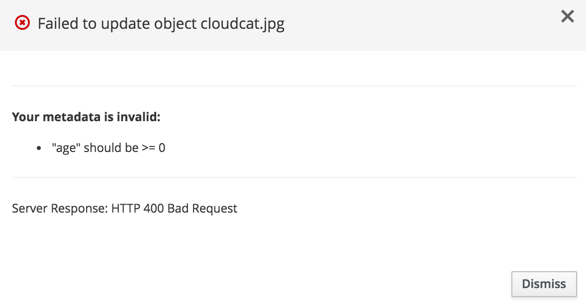 ../_images/ssmv_400_bad_request.png